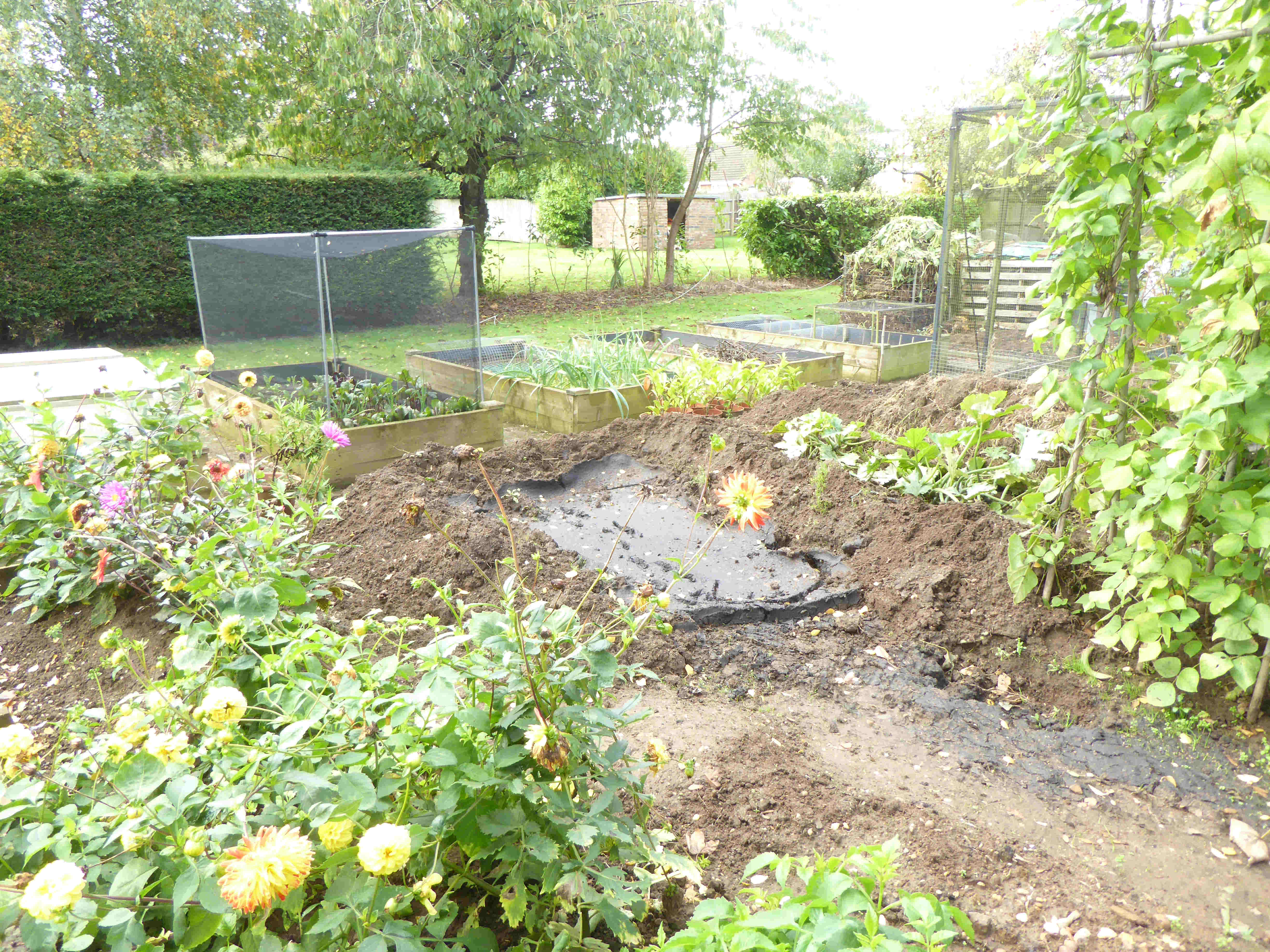 Pond Waste #2 30-9-2024