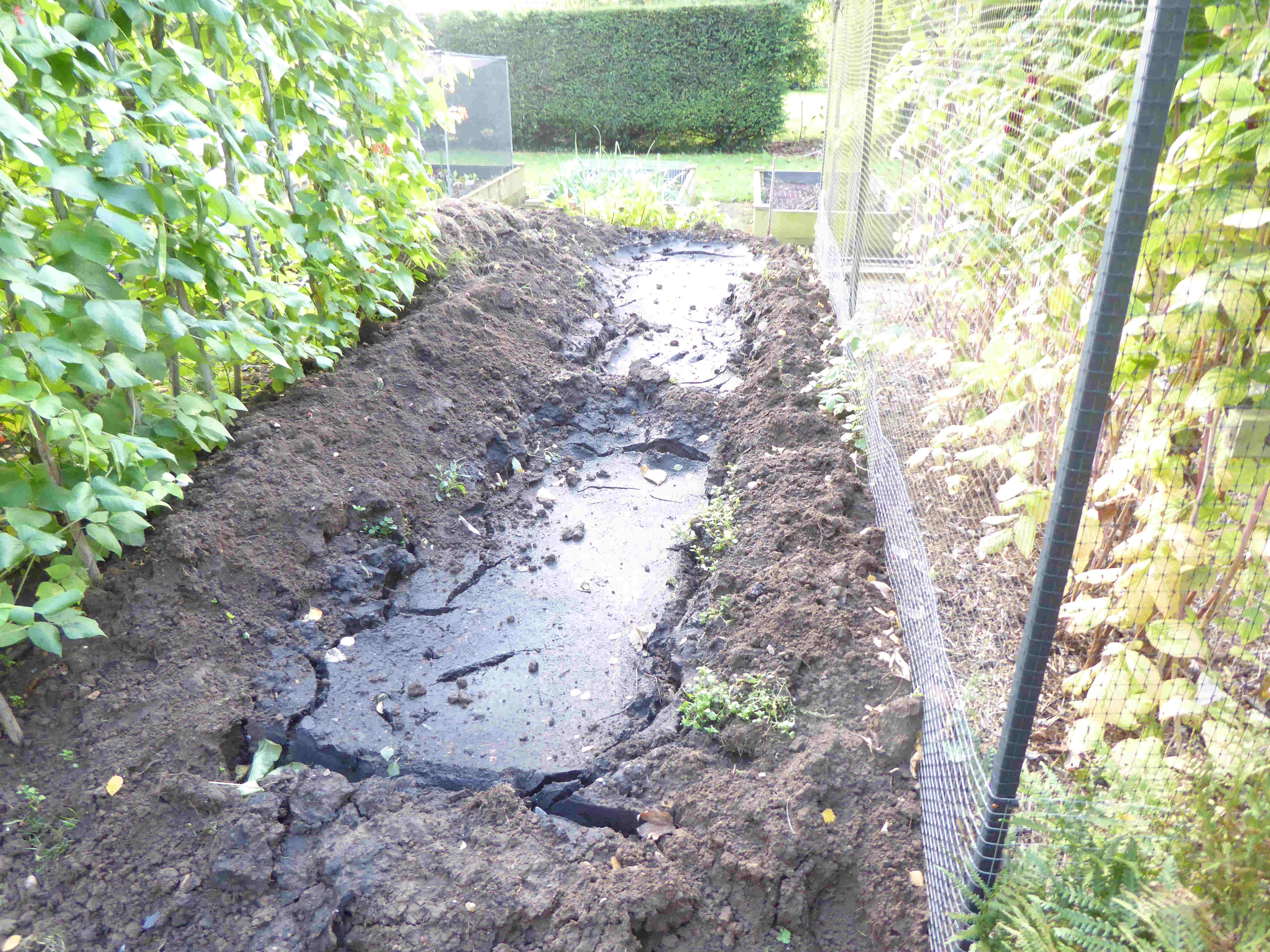 Pond Waste #2 30-9-2024