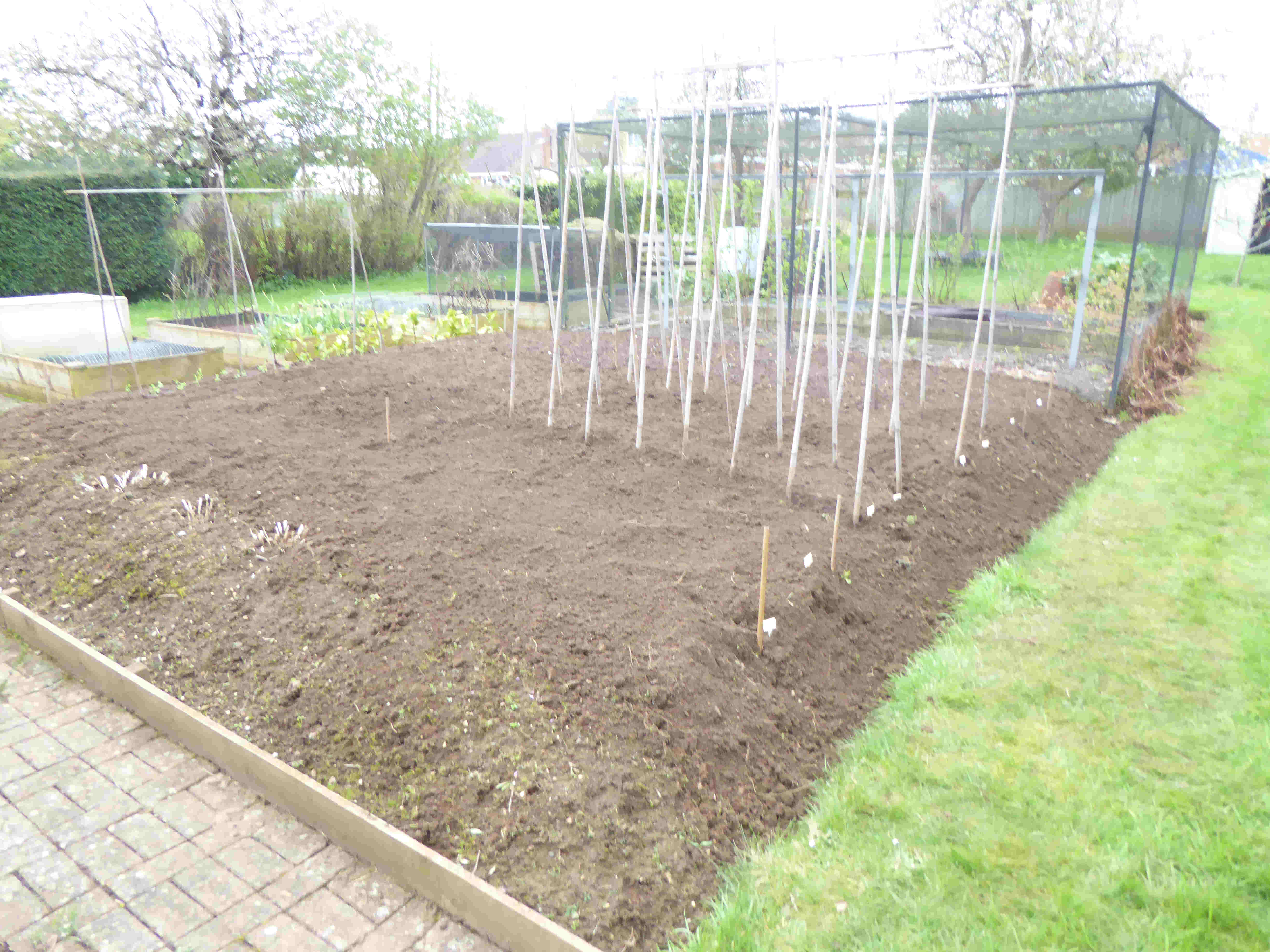 Vegetable Bed 31-3-2024