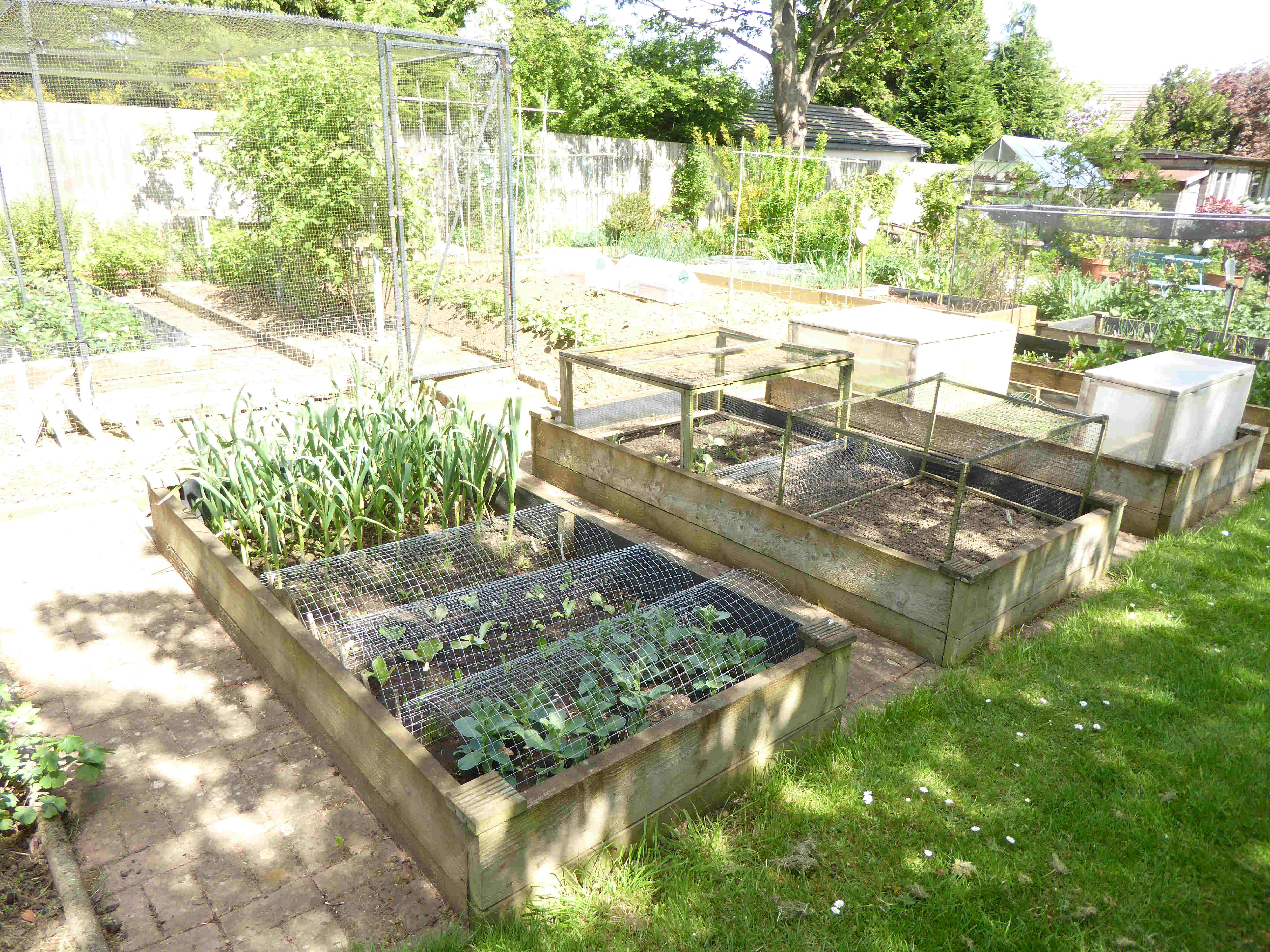 raised_beds_123